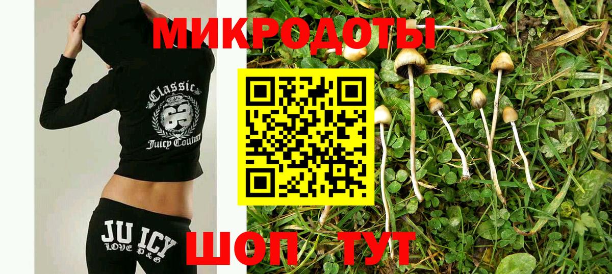 Галлюциногенные грибы мицелий Новокуйбышевск